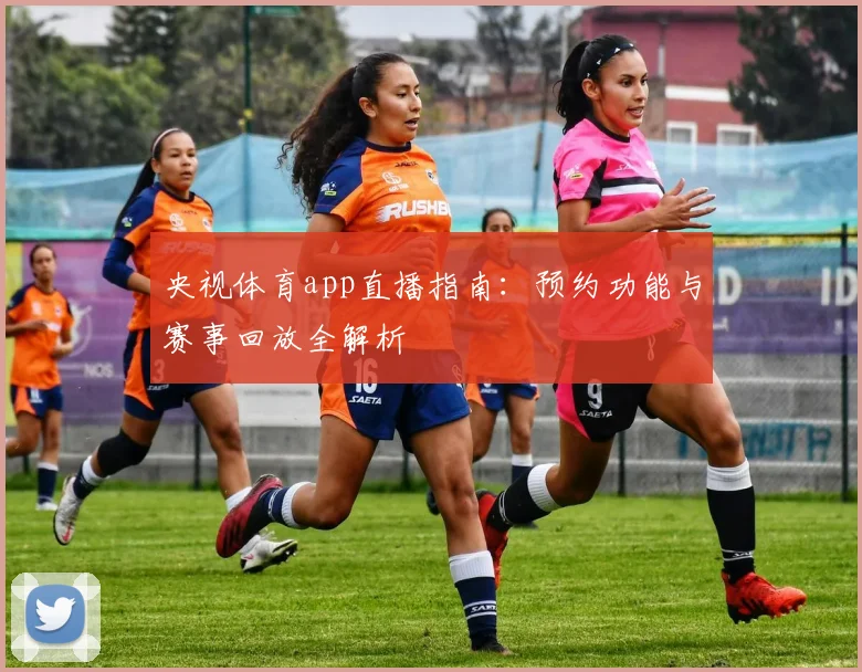央视体育app直播指南：预约功能与赛事回放全解析